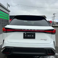 画像253